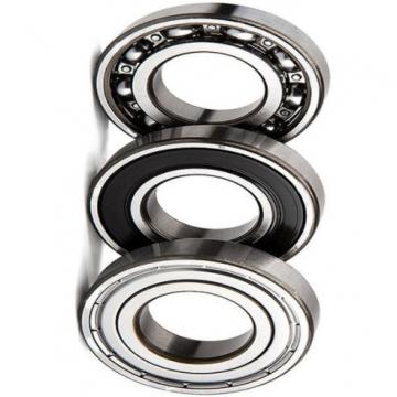 Taper Roller Bearing 30204 30205 30206 30207 30208 30209 30210 30211 30212 30213 30214 30215 30216 30217 30218 30219 30220 30221 30222 Bearings