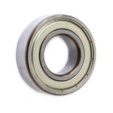 Ceramic Stainless Steel Ball and Roller Bearing Ss608 Ss609 Ss625 Ss626 Ss688 Ss695 Ss6301 Ss6302 (SS51110 SS51105 SS51108 SS51210 SS51212 SS51204)