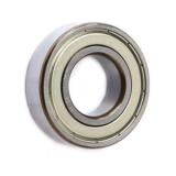 Window and Door Plastic /Nylon/Stainless Steel/Ceramic Bearing (6000 6200 6300 608 625 626 6302 6206 6204 6005 6007)